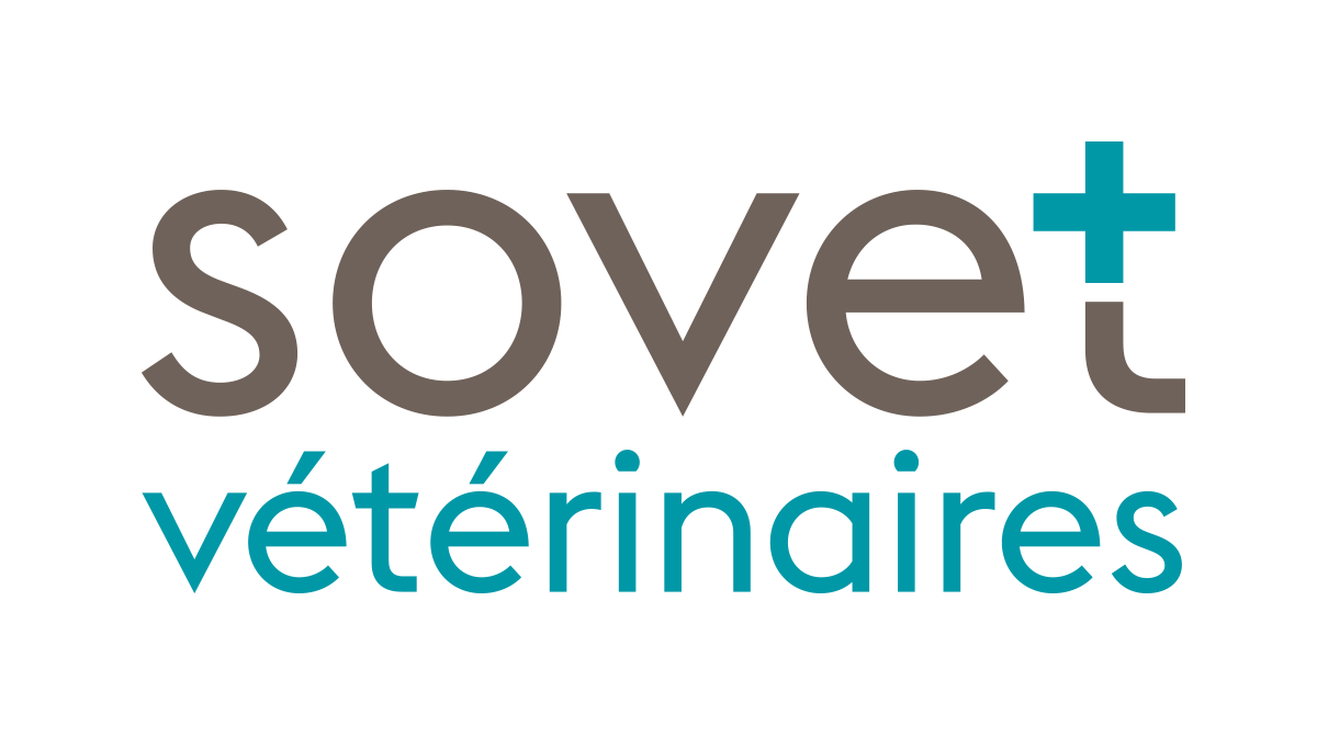 Sovet